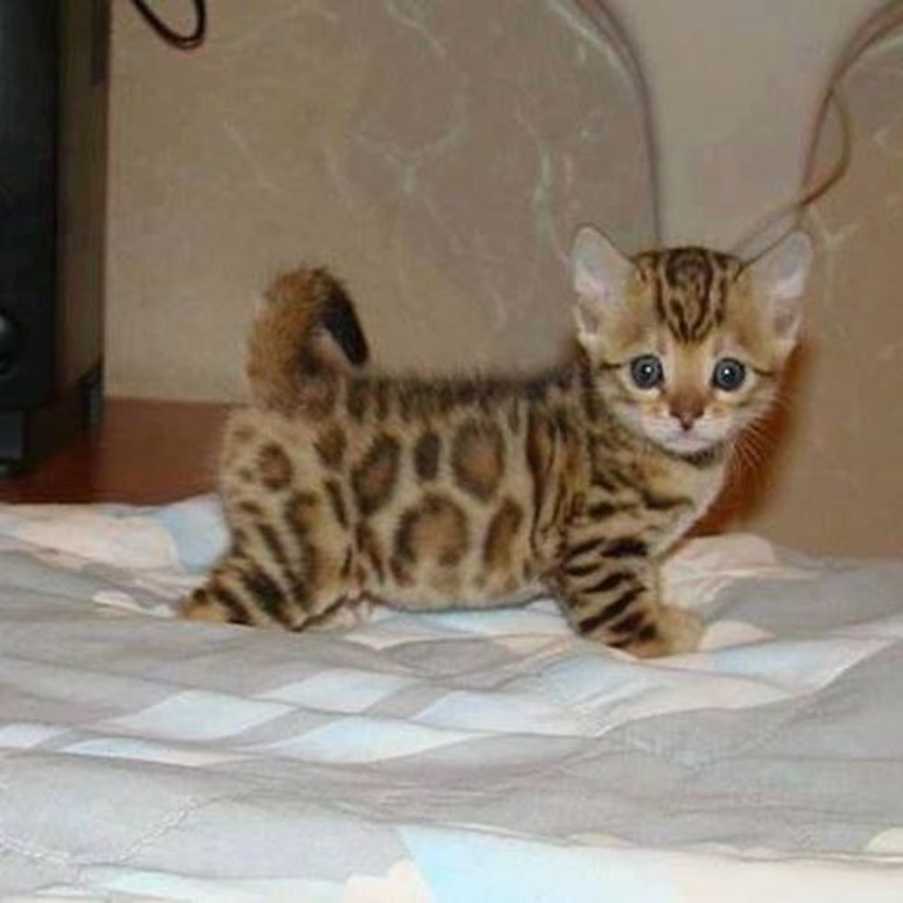 Meet your Posher, Jenell